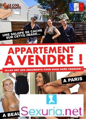 Appartement a Vendre [2017]