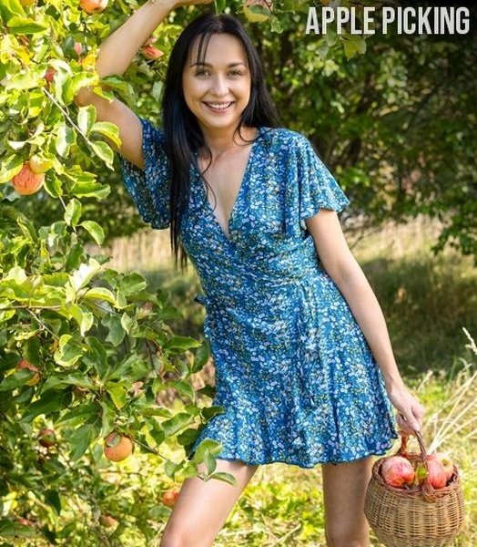 Bernie - Apple Picking