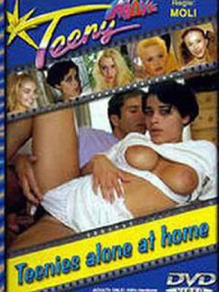 Teenies allein zu Haus -1995-