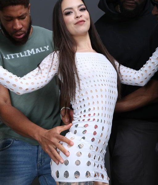 Yessica Bunny - Blackbusters Wet, Yessica Bunny, 4on1, BBC, ATM, Balls Deep, DAP, Extreme Deepthroat, No Pussy, Big Gapes, ButtRose, Pee Drink, Pee Shower, Cum in Mouth, Swallow AH197 FullHD 1080p/HD 720p