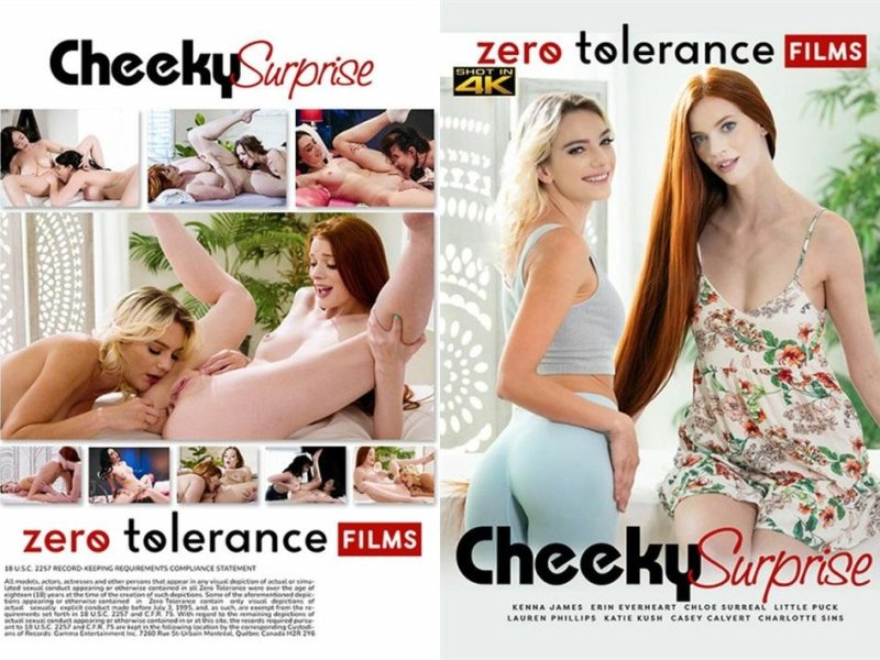 Cheeky Surprise (2026) - 720p/ 480p