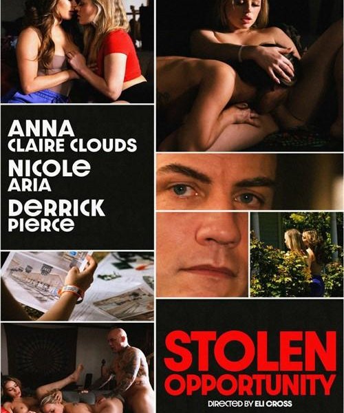 Stolen Opportunity 1080p