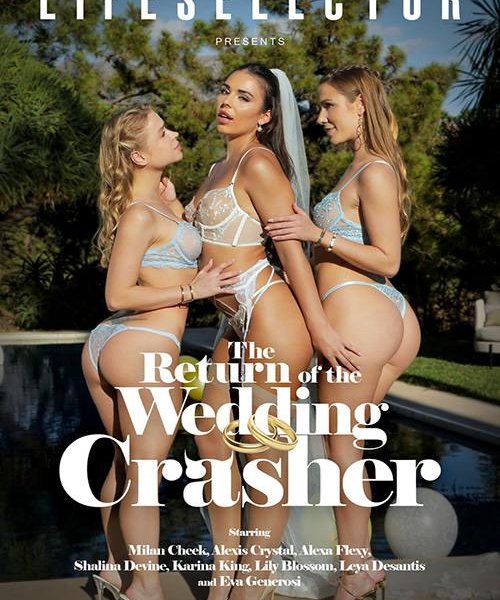 The Return of The Wedding Crasher [2026] - 2160/1080p/720p/SD