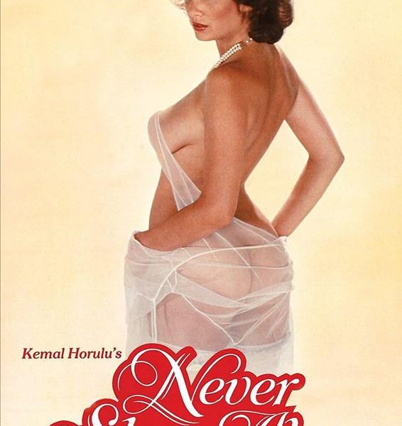 Never Sleep Alone - 1983 - Untouched DVD-9