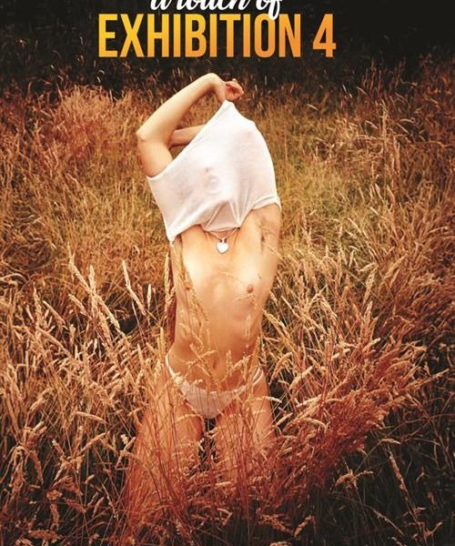 A Touch of Exhibition 4 720p