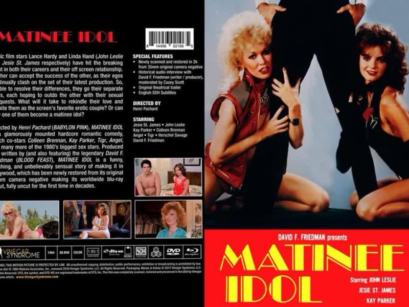 Matinee Idol [1984] - 1080p