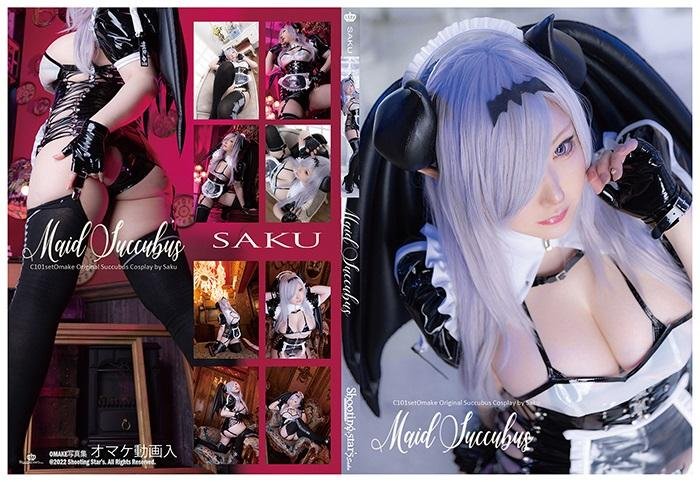 Succubus Maid 5760p