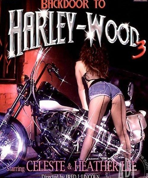 Backdoor To Harley-Wood 3